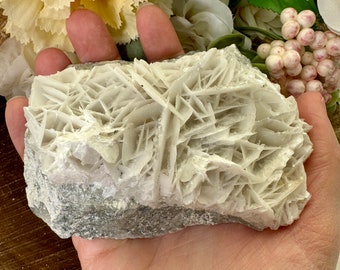 Può includere: Un ammasso di cristalli di selenite bianca con una texture ruvida e naturale. Il cristallo presenta un motivo geometrico a strati ed è una scelta popolare per la guarigione con i cristalli e la meditazione.