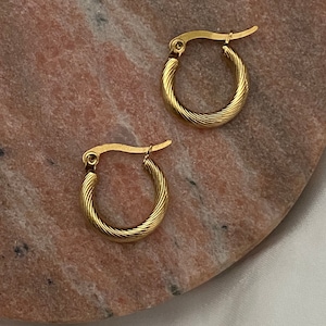 Brincos de argola com fecho de gancho, mini, em aço inoxidável banhado a ouro 14K, hipoalergênicos de alta qualidade, com 1,1 cm de diâmetro e design torcido.