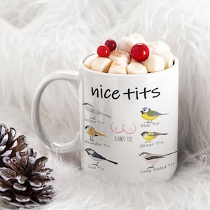 May include: White ceramic mug with the text "nice tits" and illustrations of various bird species. The mug is filled with marshmallows and topped with red berries. A pinecone is visible in the background.