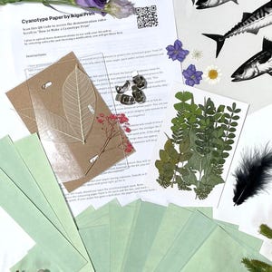 May include: A cyanotype printmaking kit with paper, dried leaves, flowers, and instructions. The kit includes a sheet with the text "Cyanotype Paper by Ikigai Print". The image also features fish illustrations and a black feather.