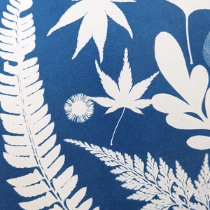 May include: A botanical print featuring white leaf silhouettes on a deep blue background. The image showcases various leaf shapes, including ferns, maple leaves, and other detailed plant forms, creating a natural, artistic composition.