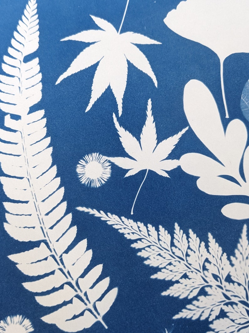 May include: A botanical print featuring white leaf silhouettes on a deep blue background. The image showcases various leaf shapes, including ferns, maple leaves, and other detailed plant forms, creating a natural, artistic composition.