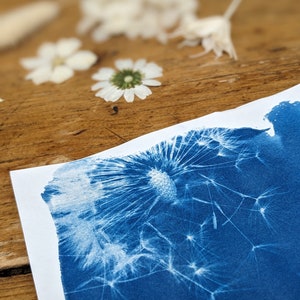 Solar Printing Kit, Cyanotype Kit, Solar Printing Paper, Botanical Craft Kit, Creative Kit, Based in the UK image 3