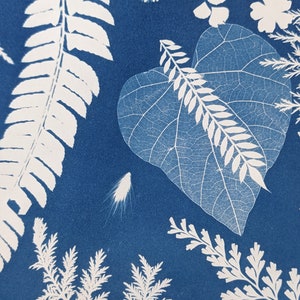 May include: A cyanotype print featuring a variety of botanical elements. The image showcases white leaf and plant silhouettes against a deep blue background. Ferns, leaves, and delicate floral details create a natural, artistic composition.