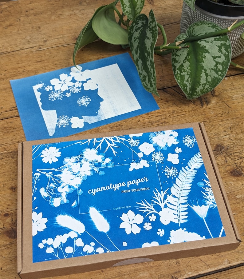 Solar Printing Kit, Cyanotype Kit, Solar Printing Paper, Botanical Craft Kit, Creative Kit, Based in the UK image 7