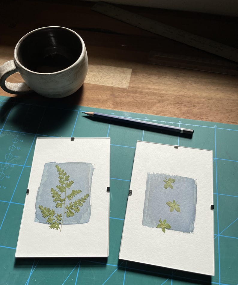 May include: Two framed botanical prints featuring pressed ferns and leaves on a light blue watercolor background. A ceramic mug and a pencil are also visible on a green cutting mat.