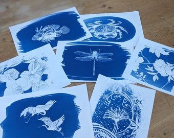 Solar Print Stencils, Cyanotype Stencils, Cyanotype Craft Kit items, Craft project