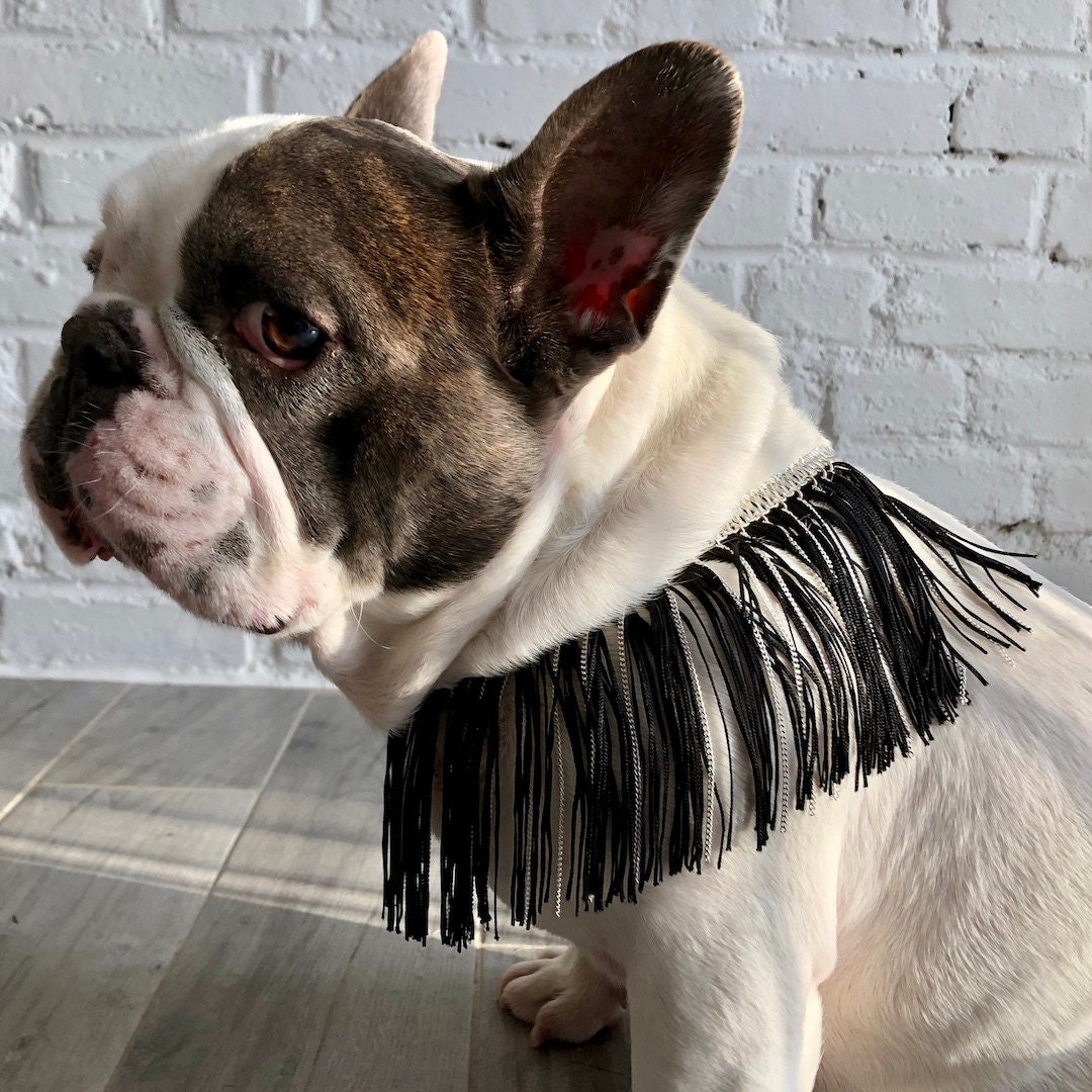 Collier Frange Bijoux Luxe Pour Vos Animaux de Compagnie.