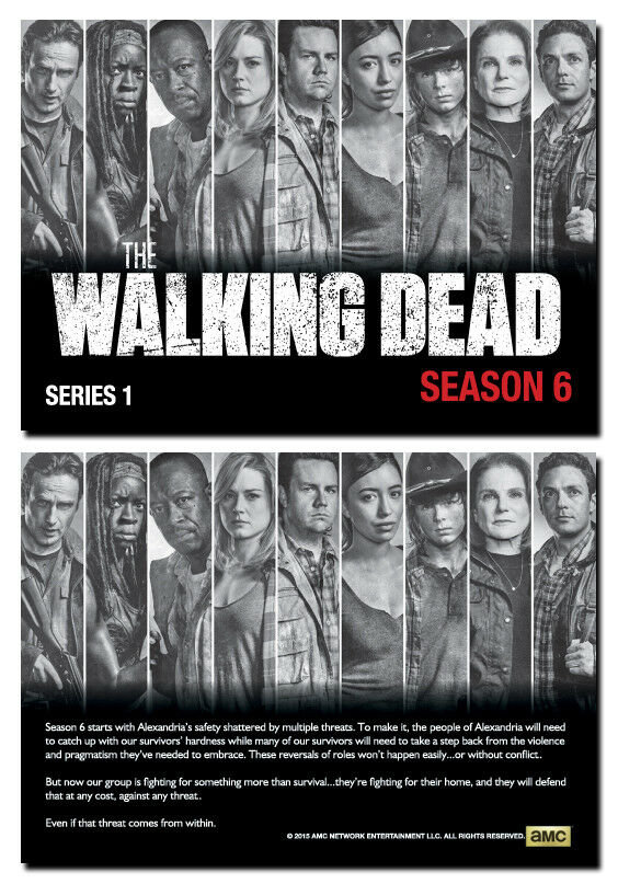 Glenn Daryl THE WALKING DEAD Season 6 PROFILES Series 2-10 Card Promo Set 