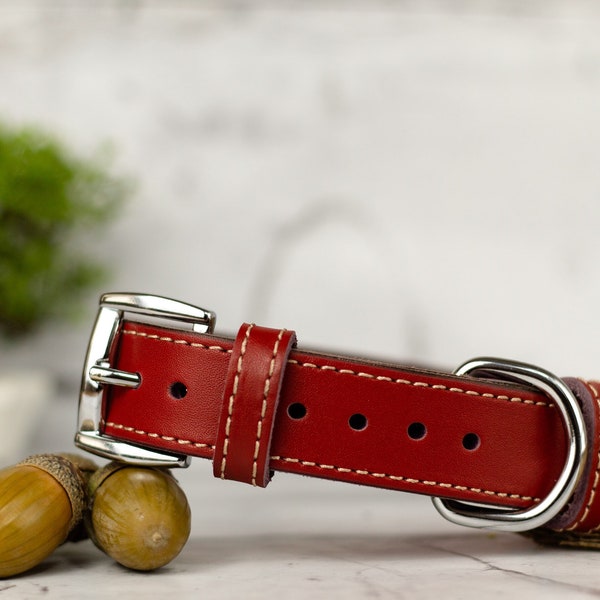 Dog Collar With Name Etsy