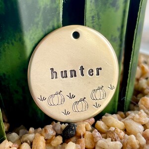 以下が含まれることがあります： 「hunter」の黒い文字が刻印された、丸い真鍮製のペットタグ。名前の下には、草のディテールが施された3つのカボチャのイラストがあります。タグの上部には、取り付け用の穴があります。