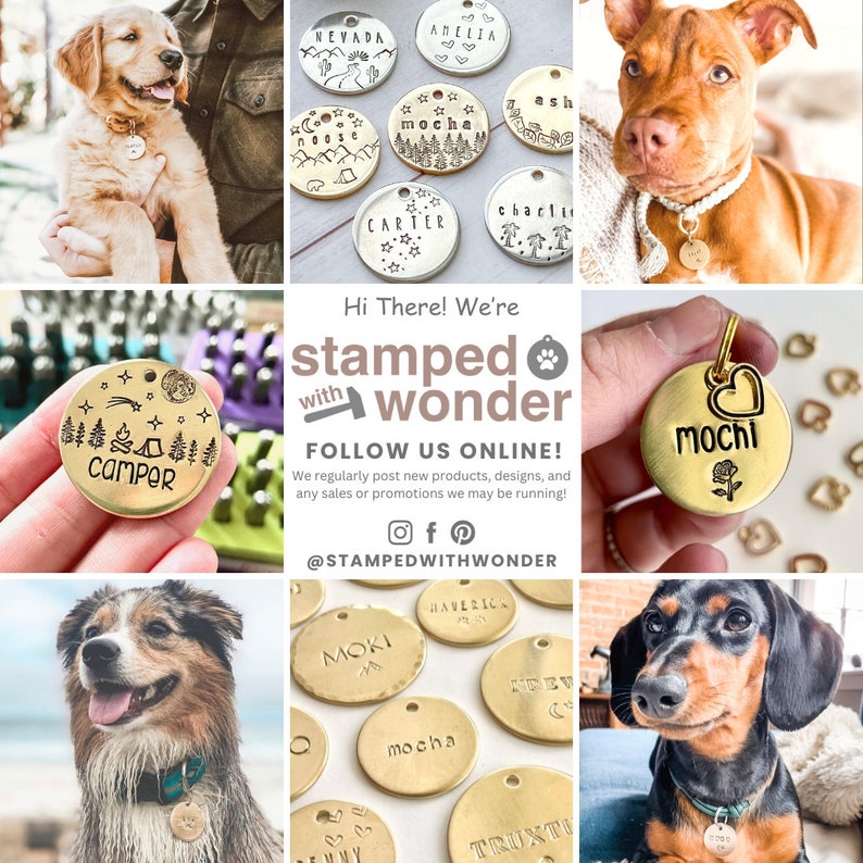 May include: A collage of pet tags and dogs. The tags are gold-colored and round, with various stamped designs and names. The dogs include a golden retriever puppy, a pit bull, an Australian Shepherd, and a dachshund.