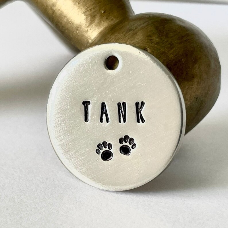 May include: A silver, circular pet tag with the name "TANK" stamped in black capital letters. Below the name are two paw prints. The tag has a small hole at the top for attachment.