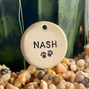 May include: A round, gold-colored pet tag with the name "NASH" in black capital letters and two paw prints. The tag has a small hole at the top for attachment. The tag is resting on small, light-colored pebbles.