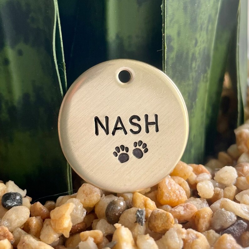 May include: A round, gold-colored pet tag with the name "NASH" in black capital letters and two paw prints. The tag has a small hole at the top for attachment. The tag is resting on small, light-colored pebbles.