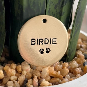 May include: A round, gold-colored pet tag with the name "BIRDIE" stamped in black, along with two paw prints. The tag has a small hole at the top for attachment. The background includes a plant and small pebbles.