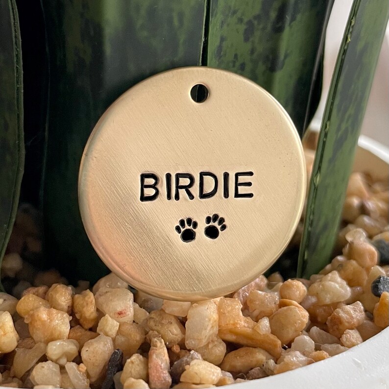 May include: A round, gold-colored pet tag with the name "BIRDIE" stamped in black, along with two paw prints. The tag has a small hole at the top for attachment. The background includes a plant and small pebbles.