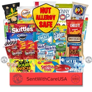 Allergy Friendly Peanut Free Snacks Nut Allergy Friendly Snacks Nut Free Snack Ideas Peanut Allergy Snack Box & Snacks With No Nuts Gift Large Box