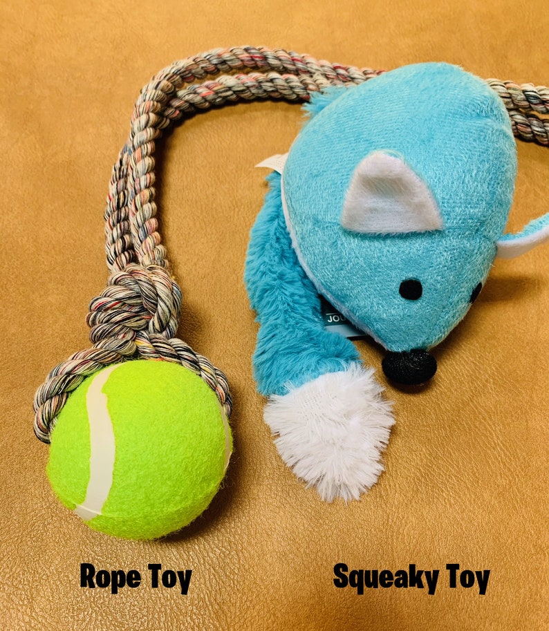 New Puppy Gift Box New Dog Owner Gift Home New Dog Etsy