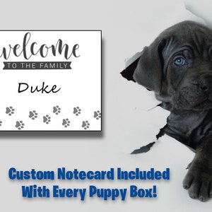 May include: A white card with the text "welcome to the family Duke" and paw prints. A black puppy with blue eyes peeks through a hole in a white surface.