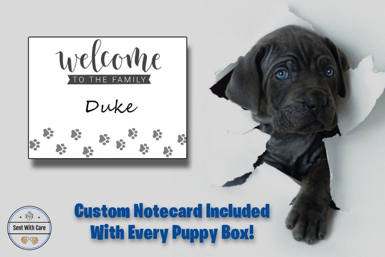 May include: A white card with the text "welcome to the family Duke" and paw prints. A black puppy with blue eyes peeks through a hole in a white surface.