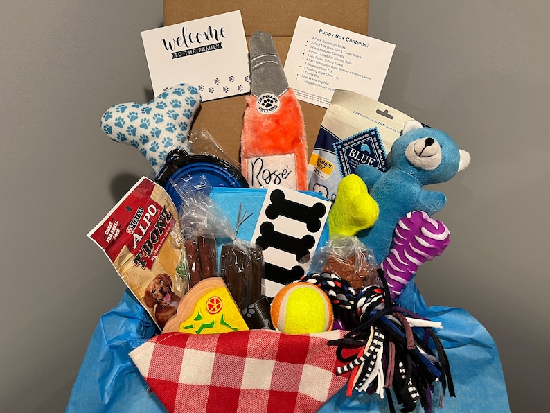 May include: A blue and white gift box filled with puppy supplies, including a blue bowl, a plush toy, a chew toy, a tennis ball, and a bag of dog treats. The box also includes a card that says "Welcome to the family" and a list of the box contents.