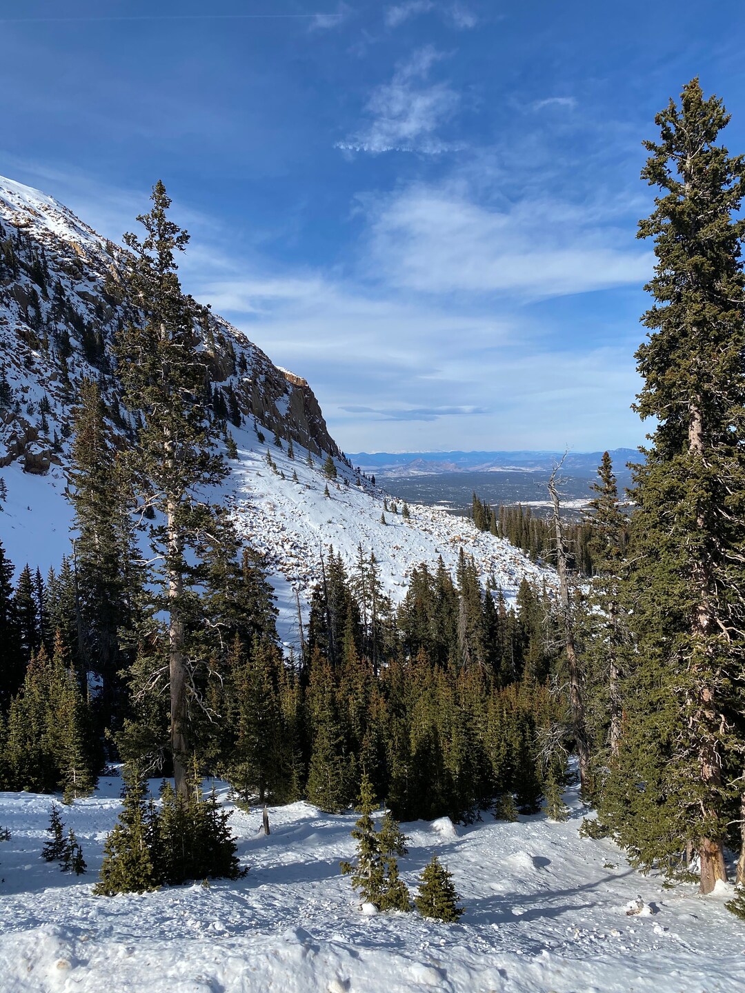Maintaining Pike S Peak Mountain Penthouse Rentals Reference: Sunny Pike S Peak Mountain View Colorado Landscape Photography
