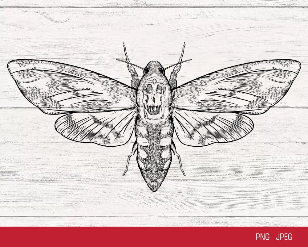 Deaths Head Moth PNG file Silence of the Lambs Gothic Art | Etsy