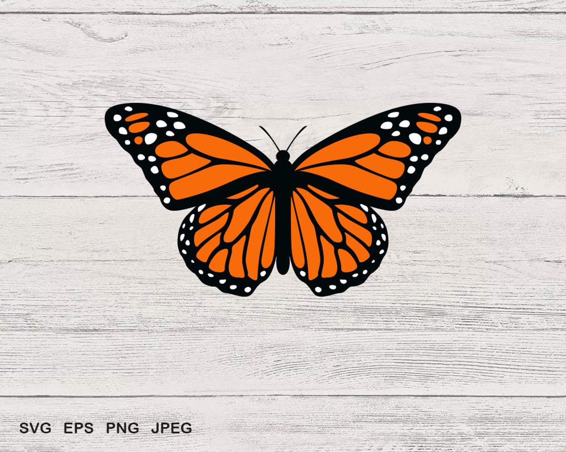 Monarch Butterfly Svg File For Cricut Silhouette Etsy My XXX Hot Girl