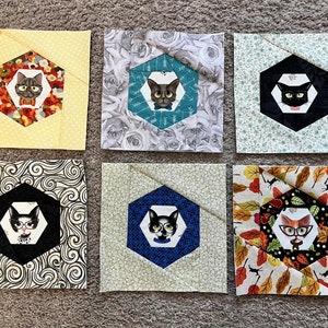 BLOCK 14 mix and match 9&quot; Foundation Paper Piecing Quilt Block Pattern - PDF only - Hexagon (BONUS!! 6&quot;, 7&quot; and 8&quot; versions!)
