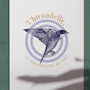 Carte postale illustration Hirondelle