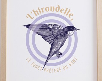 SWALLOW Citazione dell'illustrazione