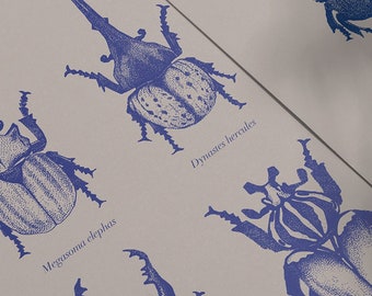Illustrazione di scarabei su cartoncino A5
