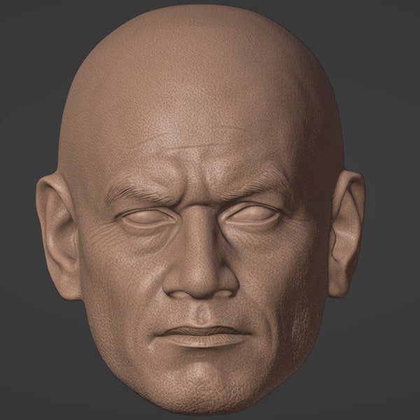 Bald Clone Trooper head sculpt