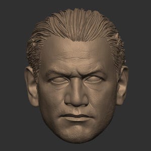 May include: A detailed 3D printed model of a man's head with short, styled hair. The model is sculpted in a realistic style, capturing the intricate details of facial features.