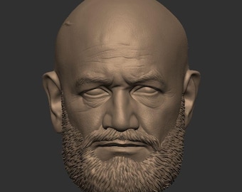 Captain Rex *Rebels* head