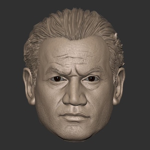 Peut inclure: Modèle 3D détaillé d'un visage d'homme, sculpté dans un style réaliste. Le modèle présente un front plissé, une mâchoire forte et une expression déterminée.