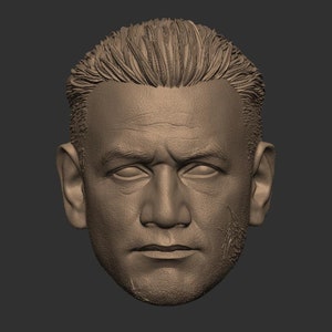 May include: A 3D printed model of a person's head, showing a detailed rendering of facial features, including the eyes, nose, mouth, and ears. The model is made of a light brown material and has a textured surface.