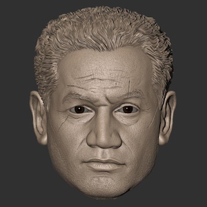 Puede incluir: Un modelo de cabeza de hombre impreso en 3D, que muestra una representación realista de los rasgos faciales, incluyendo arrugas y cabello.