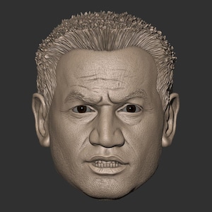 Peut inclure: Un modèle imprimé en 3D détaillé d'un visage humain. Le modèle est sculpté dans un style réaliste, avec des rides et des pores visibles. La personne a les cheveux courts et foncés et une expression sérieuse.