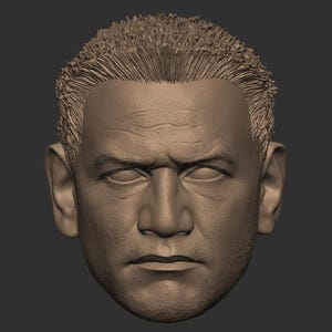 May include: A detailed, 3D-rendered bust of a man's head, showcasing realistic skin texture and facial features. The sculpture has short, textured hair and a serious expression. The overall color is a neutral, earthy tone.