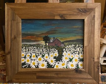 field of daisies