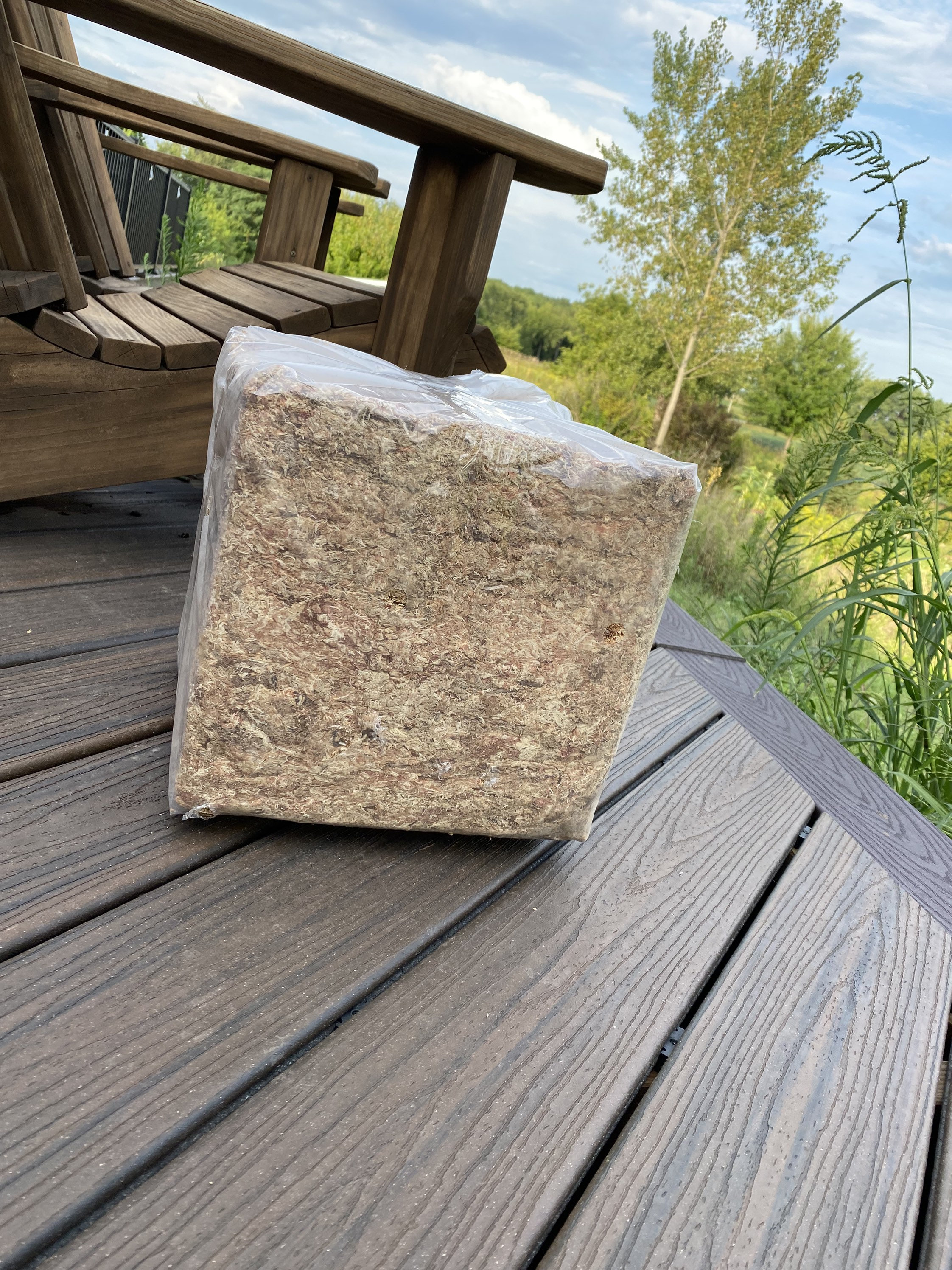 Buy Sphagnum Moss Bulk Brick 5lb. Online in India 