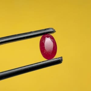 May include: A vibrant, oval-cut ruby gemstone held by black-handled tweezers against a bright yellow background. The ruby is a deep red color, showcasing its clarity and brilliance. The tweezers are positioned to display the gemstone.