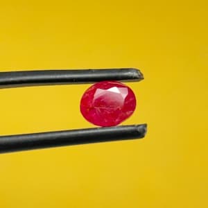 May include: A vibrant red, oval-cut gemstone is held by a pair of tweezers against a bright yellow background. The gemstone is the focal point, showcasing its polished surface and rich color. The tweezers have black handles.