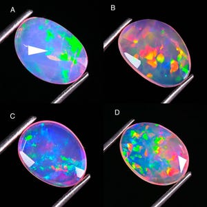 May include: Four oval-shaped cabochon opals labeled A, B, C, and D, held by metal tweezers. Each gemstone displays a translucent base with vibrant flashes of green, blue, orange, and pink play-of-color against a dark background.