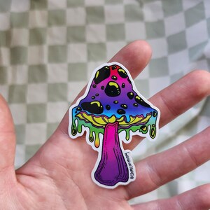 Adesivo per bottiglia d'acqua / Design fungo neon Pride
