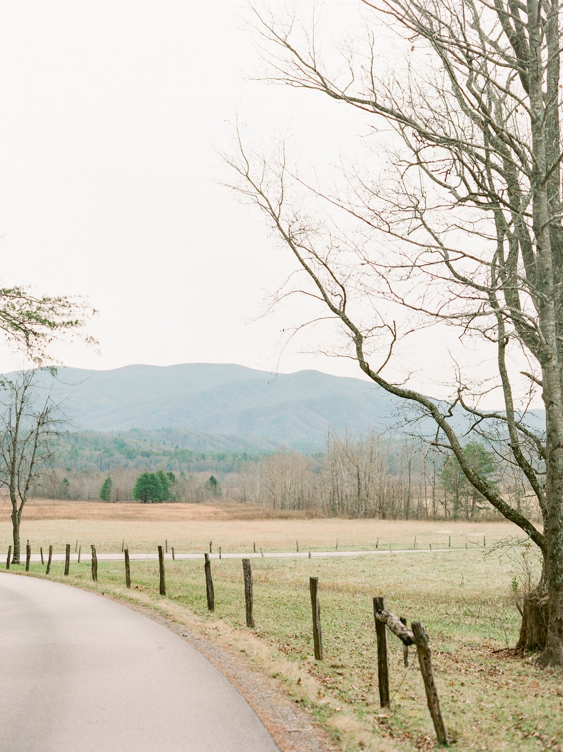 Cades Cove Tennessee Print Etsy
