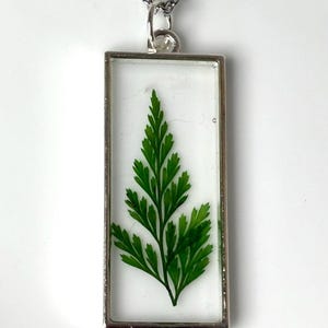 Pu&ograve; includere: Una collana con pendente rettangolare in argento con una vivace foglia di felce verde racchiusa in resina trasparente. I dettagli intricati della foglia sono visibili, su uno sfondo bianco. Il pendente &egrave; appeso a una delicata catena d'argento.