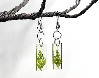 Orecchini con aghi di pino